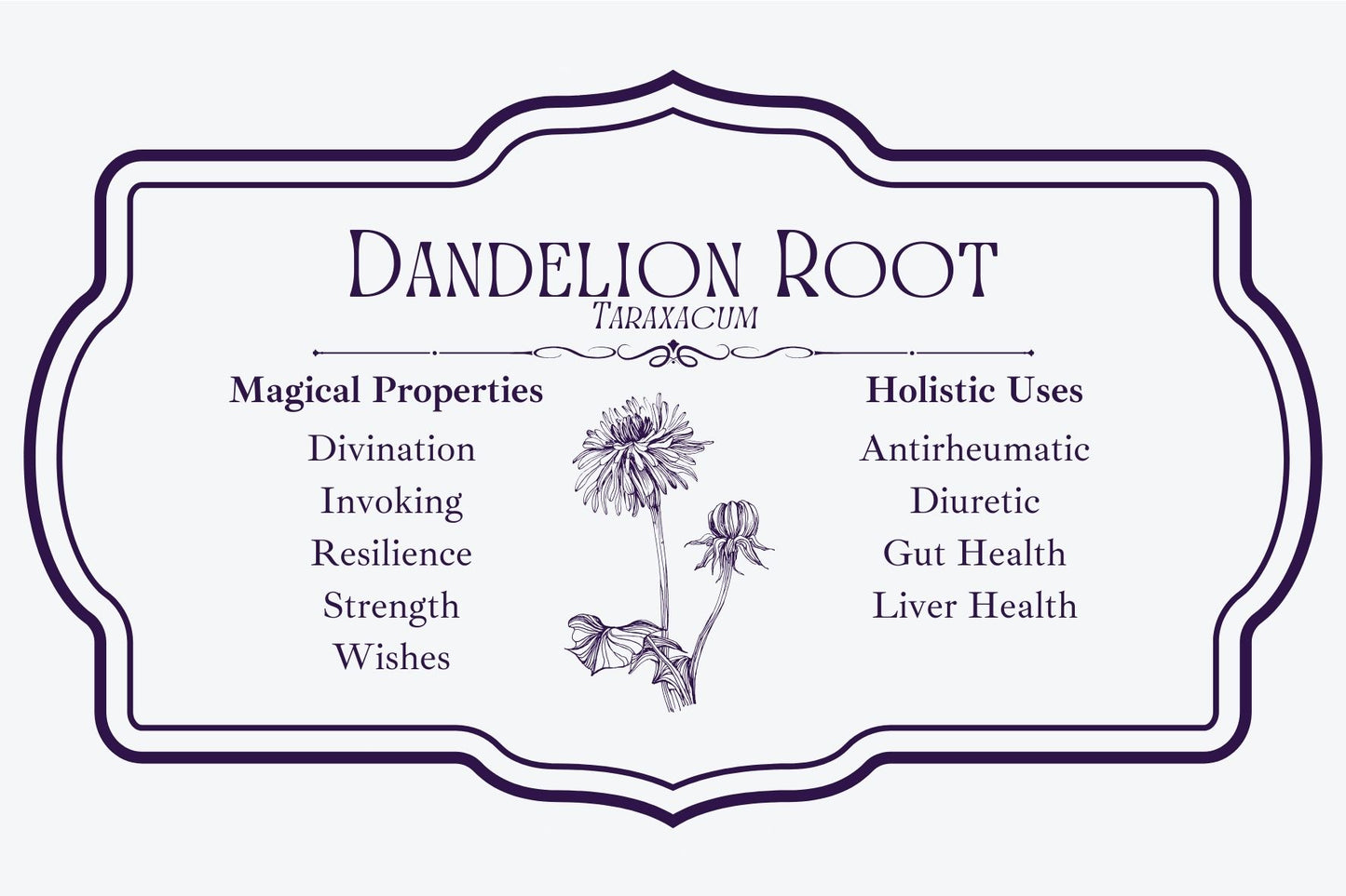 Dandelion Root