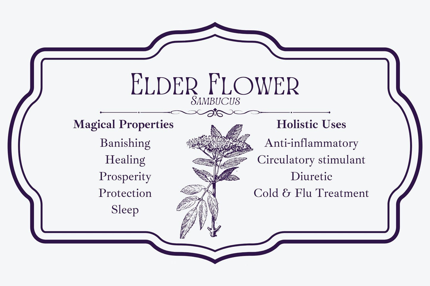 Elder Flower