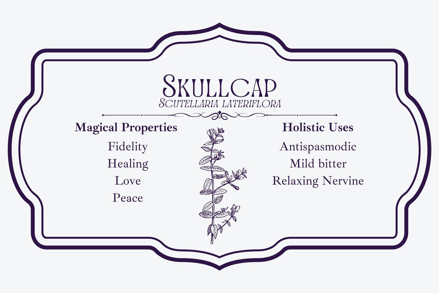 Skullcap