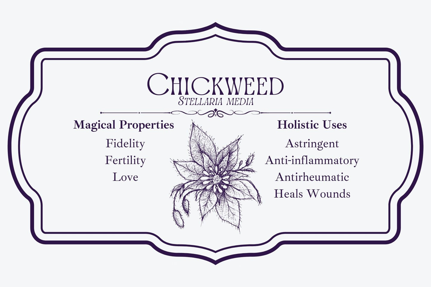 Chickweed